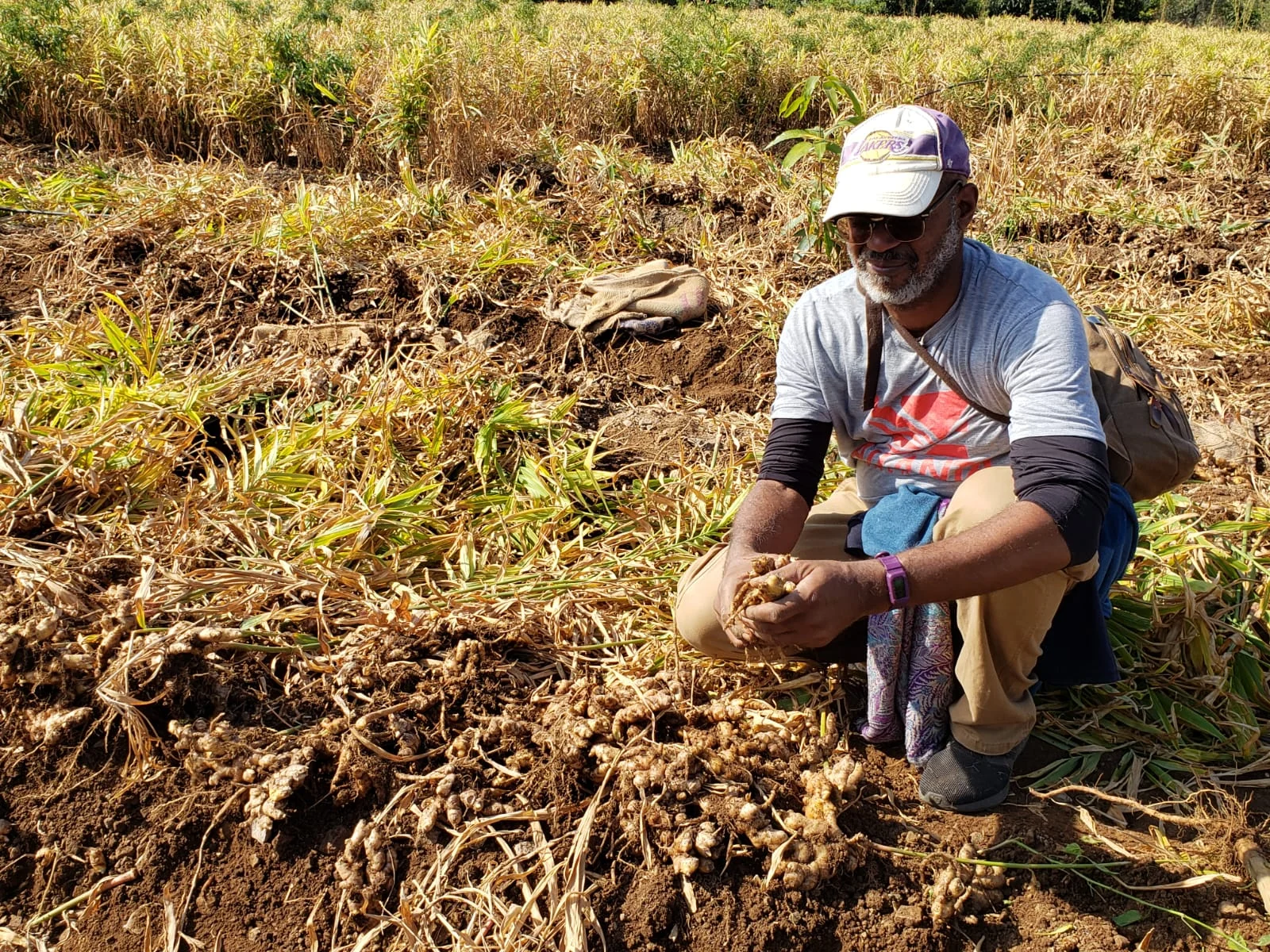 David working close to the soil in a field.